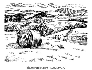 Rural scenery landscape panorama of countryside pastures. Green grass field on small hills. Vector sketch illustration