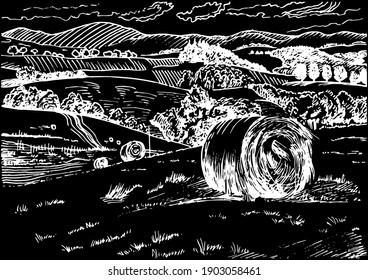 Rural scenery landscape panorama of countryside pastures. Green grass field on small hills. Vector sketch illustration