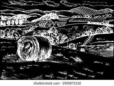 Rural scenery landscape panorama of countryside pastures. Green grass field on small hills. Vector sketch illustration