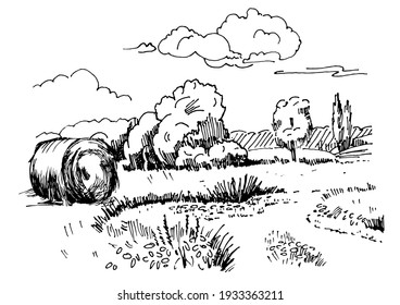 Rural scenery landscape panorama of countryside pastures. Green grass field on small hills. Vector sketch illustration