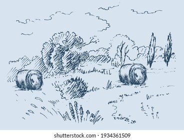Rural scenery landscape panorama of countryside pastures. Green grass field on small hills. Vector sketch illustration