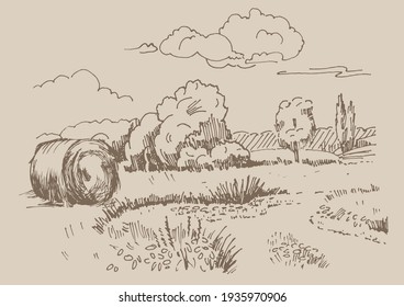 Rural scenery landscape panorama of countryside pastures. Green grass field on small hills. Vector sketch illustration