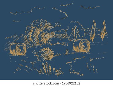 Rural scenery landscape panorama of countryside pastures. Green grass field on small hills. Vector sketch illustration
