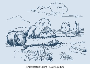 Rural scenery landscape panorama of countryside pastures. Green grass field on small hills. Vector sketch illustration