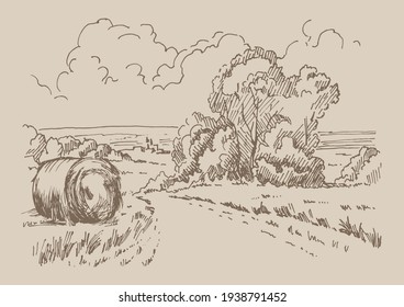 Rural scenery landscape panorama of countryside pastures. Green grass field on small hills. Vector sketch illustration