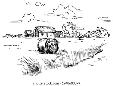 Rural scenery landscape panorama of countryside pastures. Green grass field on small hills. Vector sketch illustration