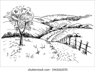 Rural scenery landscape panorama countryside pastures  Green grass field small hills  Vector sketch illustration