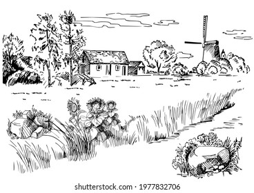 Rural scenery landscape panorama of countryside pastures. Green grass field on small hills. Vector sketch illustration
