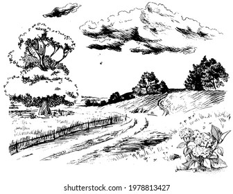 Rural scenery landscape panorama of countryside pastures. Green grass field on small hills. Vector sketch illustration