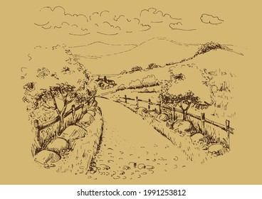 Rural scenery landscape panorama of countryside pastures. Green grass field on small hills. Vector sketch illustration