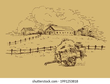 Rural scenery landscape panorama of countryside pastures. Green grass field on small hills. Vector sketch illustration