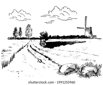Rural scenery landscape panorama of countryside pastures. Green grass field on small hills. Vector sketch illustration