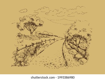 Rural scenery landscape panorama of countryside pastures. Green grass field on small hills. Vector sketch illustration