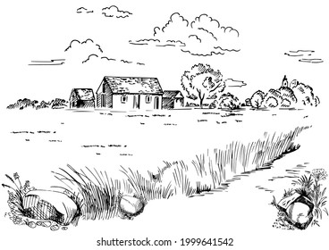 Rural scenery landscape panorama of countryside pastures. Green grass field on small hills. Vector sketch illustration