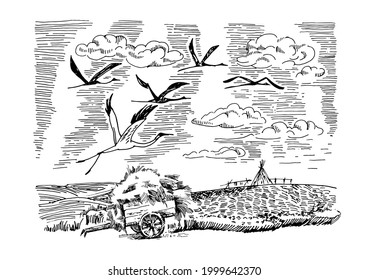 Rural scenery landscape panorama of countryside pastures. Green grass field on small hills. Vector sketch illustration
