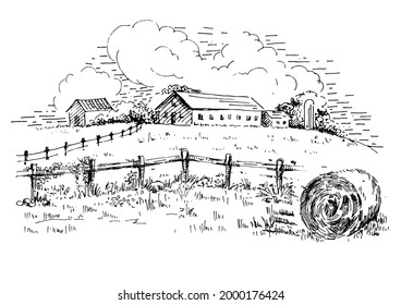 Rural scenery landscape panorama of countryside pastures. Green grass field on small hills. Vector sketch illustration