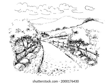 Rural scenery landscape panorama of countryside pastures. Green grass field on small hills. Vector sketch illustration