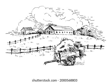 Rural scenery landscape panorama of countryside pastures. Green grass field on small hills. Vector sketch illustration