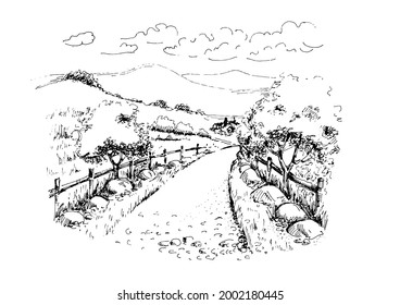 Rural scenery landscape panorama of countryside pastures. Green grass field on small hills. Vector sketch illustration