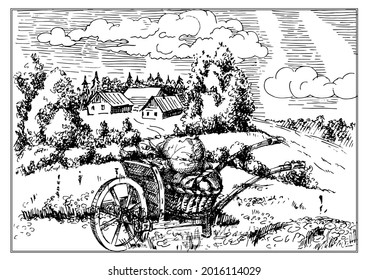 Rural scenery landscape panorama of countryside pastures. Green grass field on small hills. Vector sketch illustration