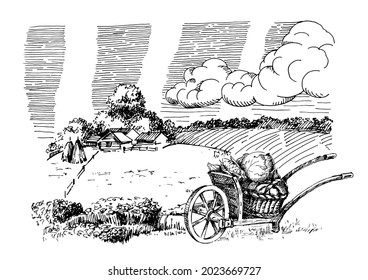 Rural scenery landscape panorama of countryside pastures. Green grass field on small hills. Vector sketch illustration