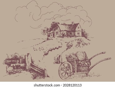 Rural scenery landscape panorama of countryside pastures. Green grass field on small hills. Vector sketch illustration
