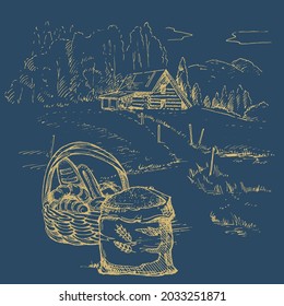 Rural scenery landscape panorama of countryside pastures. Green grass field on small hills. Vector sketch illustration