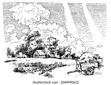 Rural scenery landscape panorama of countryside pastures. Green grass field on small hills. Vector sketch illustration