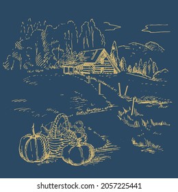 Rural scenery landscape panorama of countryside pastures. Green grass field on small hills. Vector sketch illustration
