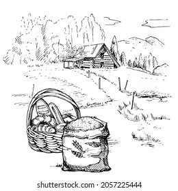 Rural scenery landscape panorama of countryside pastures. Green grass field on small hills. Vector sketch illustration