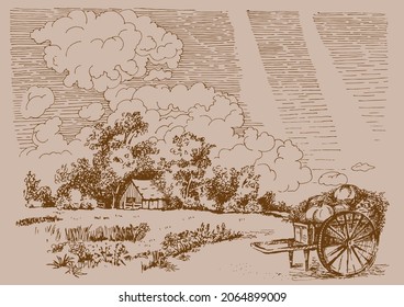 Rural scenery landscape panorama of countryside pastures. Green grass field on small hills. Vector sketch illustration