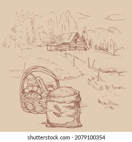 Rural scenery landscape panorama of countryside pastures. Green grass field on small hills. Vector sketch illustration