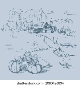 Rural scenery landscape panorama of countryside pastures. Green grass field on small hills. Vector sketch illustration