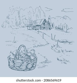 Rural scenery landscape panorama of countryside pastures. Green grass field on small hills. Vector sketch illustration