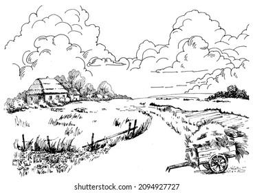 Rural scenery landscape panorama of countryside pastures. Green grass field on small hills. Vector sketch illustration