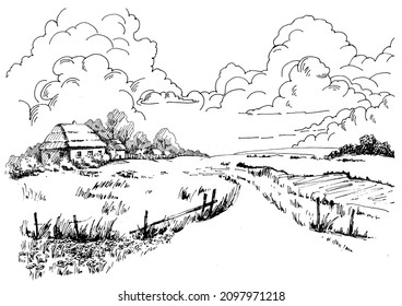 Rural scenery landscape panorama of countryside pastures. Green grass field on small hills. Vector sketch illustration