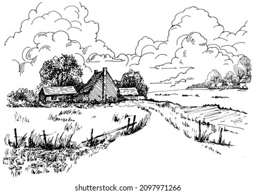 Rural scenery landscape panorama of countryside pastures. Green grass field on small hills. Vector sketch illustration