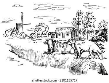 Rural scenery landscape panorama of countryside pastures. Green grass field on small hills. Vector sketch illustration