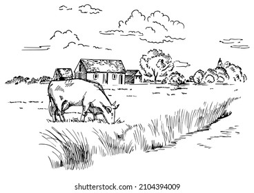 Rural scenery landscape panorama of countryside pastures. Green grass field on small hills. Vector sketch illustration