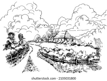 Rural scenery landscape panorama of countryside pastures. Green grass field on small hills. Vector sketch illustration