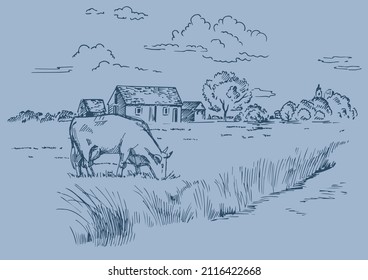 Rural scenery landscape panorama of countryside pastures. Green grass field on small hills. Vector sketch illustration
