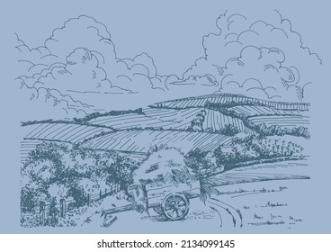 Rural scenery landscape panorama of countryside pastures. Green grass field on small hills. Vector sketch illustration