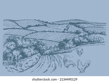 Rural scenery landscape panorama of countryside pastures. Green grass field on small hills. Vector sketch illustration
