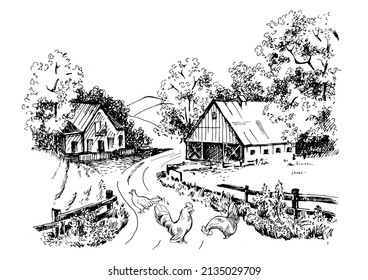 Rural scenery landscape panorama of countryside pastures. Green grass field on small hills. Vector sketch illustration