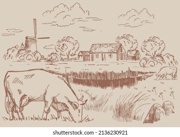 Rural scenery landscape panorama of countryside pastures. Green grass field on small hills. Vector sketch illustration