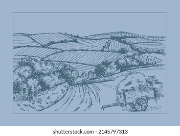 Rural scenery landscape panorama of countryside pastures. Green grass field on small hills. Vector sketch illustration
