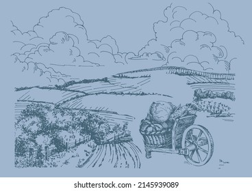 Rural scenery landscape panorama of countryside pastures. Green grass field on small hills. Vector sketch illustration
