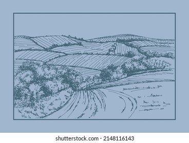 Rural scenery landscape panorama of countryside pastures. Green grass field on small hills. Vector sketch illustration
