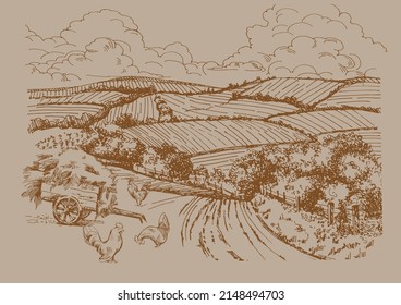 Rural scenery landscape panorama of countryside pastures. Green grass field on small hills. Vector sketch illustration
