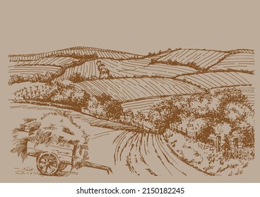 Rural scenery landscape panorama of countryside pastures. Green grass field on small hills. Vector sketch illustration